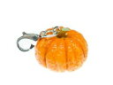【送料無料】ジュエリー・アクセサリー カボチャハロウィーンチャームジッパープルトレーラーミニブリングzucca halloween ortaggi charm zipper pull rimorchio miniblings 3d autunno
