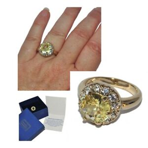 【送料無料】ジュエリー・アクセサリー ハリウッドコレクションバグクーラークリスタルジョーネベット..