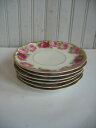 yzLb`piEHEE@[[^[ẽJV[sN[Y\[T[̂S/6 1901-1933 ROSENTHAL CHRYSANTHEME CACILIE PINK ROSES 6 saucers only