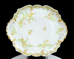 ̵ۥåʡĴƫɥϥɡ⡼塦եեҥե르ɥץ졼THEODORE HAVILAND LIMOGES FOR A. FRENCH CO. FLORAL & GOLD 8 CAKE PLATE 189