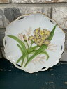 yzLb`piEHEE@`FACXT[rOv[gS[hg[nhVtg. Hand Painted Yellow Iris@Serving Plate Gold Tone Handle 8.5h