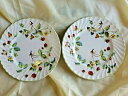 yzLb`piEHEE@WF[YEPgI[hEtH[[EX^btH[hV[Xgx[p^[T_veX2 JAMES KENT-OLD FOLEY STAFFORDSHIRE 8h STRAWBERRY PATTERN SALAD PLATEs