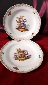 ̵ۥåʡĴƫƥơޥĻץ졼2xAntique /Vintage Meissen Birds & Insects Plate Very Rare