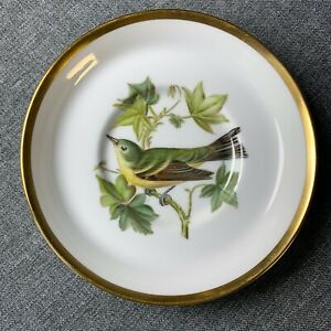 【送料無料】キッチン用品・食器・調理器具・陶器　ソーサーパインウグイスオーデュボン鳥ボーン中国SPODE Saucer Pine Warbler - Audubon Birds - 5.25 Y6466 Bone China 1963 EUC