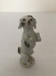 ̵ۥåʡĴƫޥ󼧴參ɥ顼㳰Ū˥ǥ벽ʪ𤤥ѥ˥븤MEISSEN PORCELAIN KANDLER MODELLED EXCEPTIONAL - RARE BEGGING SPANIEL DOG C1750