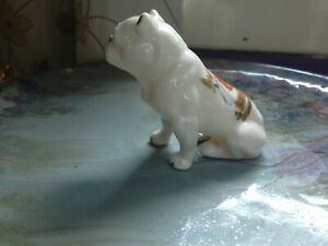 【送料無料】キッチン用品・食器・調理器具・陶器 シェリーの本当にまれな例紋章製品ブルドッグエルギンのバーグA TRULY RARE EXAMPLE OF A SHELLEY,CRESTED WARE ,BULLDOG 324, BURGH OF ELGIN