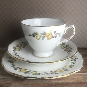 ̵ۥåʡĴƫ١뽩β̼¹ȥꥪåסƥץ졼Royal Vale Autumn fruits bone china trio 8184 cup, saucer & tea plate