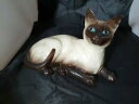 yzLb`piEHEE@CEhgEVxYEBbNtBMARoyal Doulton SIAMESE CAT Lying Down DA125 Beswick 1559 Figurine