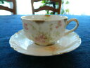 yzLb`piEHEE@nrhRE[WEVCK[eB[Jbv\[T[Haviland &amp; Co Limoges Schleiger 52D Teacup &amp; Saucer@@@@@@@@@@@@@7-2