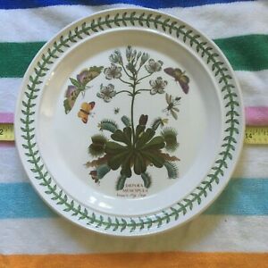 【送料無料】キッチン用品・食器・調理器具・陶器　ポルトメイリオン植物園ヴィーナスフライトラップディナープレートイングランドの花と蝶Portmeirion Botanic Venus Fly Trap Dinner Plate 10.5 England flowers & butter
