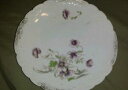 yzLb`piEHEE@J[XobhI[XgAoCIbgԂ̉Ԃ̃fBi[RN^[v[gō܂Carlsbad China BFHS Made in Austria Violet Floral Flower Dinner Collector Pla