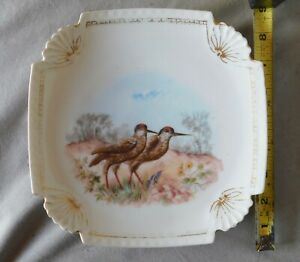 ̵ۥåʡĴƫƥ⡼弧ץ졼ȥĻ꡼ȥХɥåAntique Limoges Porcelain dessert plate game bird Elite Bawo Dotter SM 1889