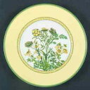 【送料無料】キッチン用品・食器・調理器具・陶器 ミカサフローラルコートサラダプレートMikasa Floral Court Salad Plate 377993...