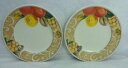 MIKASA china ORCHARD ODYSSEY CAB04 pattern Salad Plate - Set of Two (2) - 8-3/8ミカサ中国オーチャードオデッセイパターンサラダプレート個セット※注意※NYからの配送になりますので2週間前後お時間をいただきます。人気の商品は在庫が無い場合がございます。ご了承くださいませ。サイズの種類の商品は購入時の備考欄にご希望のサイズをご記載ください。　携帯メールでの登録ですと楽天からのメールが届かない場合がございます。