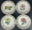 ̵ۥåʡĴƫʪ̵¥ǥȥץ졼4 NEW Botanical Gardens TABLETOPS UNLIMITED 7.5 Dessert / Salad Plates