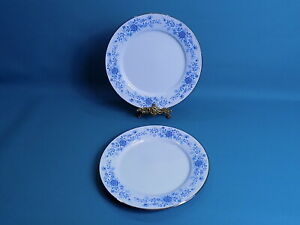 ̵ۥåʡĴƫΥ꥿󥫥ƥǥʡץ졼Noritake RC Sri Lanka Anthea Dinner Plates x 2