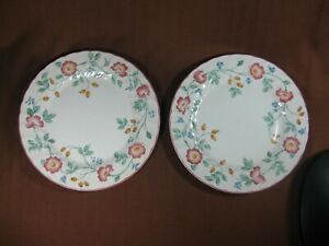 ̵ۥåʡĴƫ㡼֥饤ǥʡץ졼ȥåȥԥ󥯤β֤Υ֥ɥԥ󥯥ȥChurchill Briar Rose 10 Dinner Plates Set of 2 Pink Flowers on Vines Pink Trim