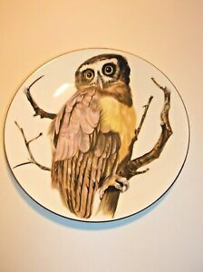 【送料無料】キッチン用品・食器・調理器具・陶器　クラウンボーンチャイナはフクロウプレートを眼鏡未..