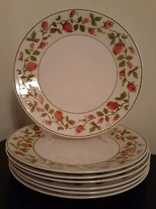 ̵ۥåʡĴƫ쥢ߥХߥåɥ꡼ǯ奯饤ߥ󥰥ץ졼ȥǥʡåRARE Mikasa cera stone mid century 50s climbing rose plate dinnerware Set of 7