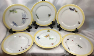 ̵ۥåʡĴƫꥢॺΥޥХĳǥȥץ졼ȥХWilliams Sonoma Bugs & Butterflies 6 1/2 dessert plates bugs motif-set of 6