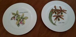 ̵ۥåʡĴƫ٥ʥɡҥ쥢⥸ץ졼ȥåȿʪBernardaud & Co. RARE LIMOGES Porcelain 2 Plate Set Botanical Orchids Flower