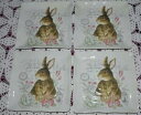 yzLb`piEHEE@}bNXZXvORNVt[K[fXNGAv[g4 Maxcera Spring Collection BUNNY RABBIT Flower Garden Square Plates 8-1/2 (a)