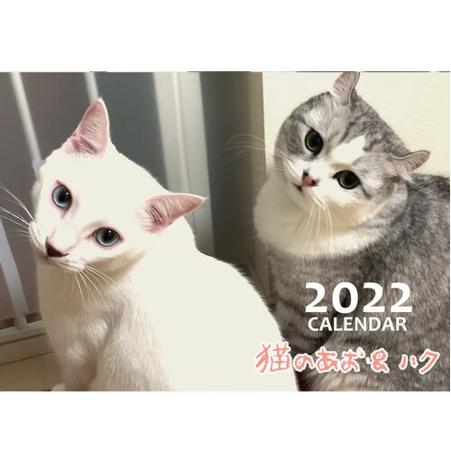 【予約販売】 猫のあお&ハク・シネマ AO HAKU 2022年 壁掛け カレンダー KK22157