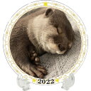 【予約販売】 カワウソ さくら 2022年 イヤープレート皿立て付き PU2201