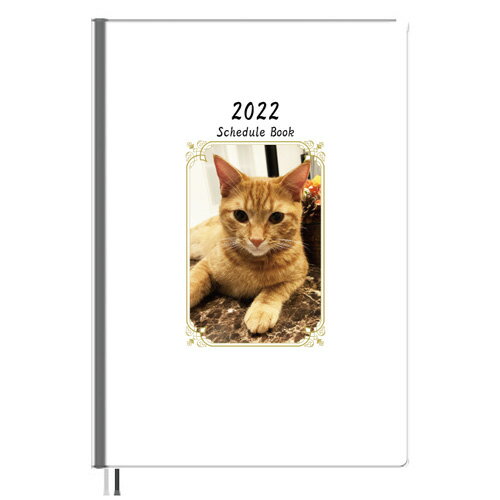 【予約販売】 猫のもち 2022年 A5スケジュール帳 A52241
