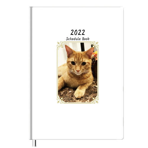 【予約販売】 猫のもち 2022年 B5スケジュール帳 B52242