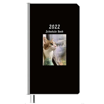 【予約販売】 うちねこ日和 2022年 ポケットサイズ スケジュール帳 PO2222