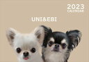 【予約販売】 チワワ犬のUNI＆EBI 2023年 壁掛けカレンダー KK23124