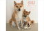 【予約販売】 豆柴犬はなちゃん&まるちゃん 2023年 壁掛けカレンダー KK23175 1,380円