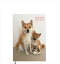 【予約販売】 豆柴犬はなちゃん&まるちゃん 2023年 A5スケジュール帳 A523177 2,280円
