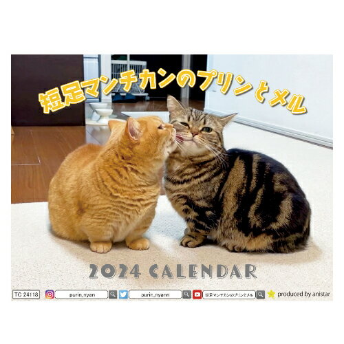 【予約販売】 短足猫 マンチカンのプリンとメル 2024年 卓上 カレンダー TC24118