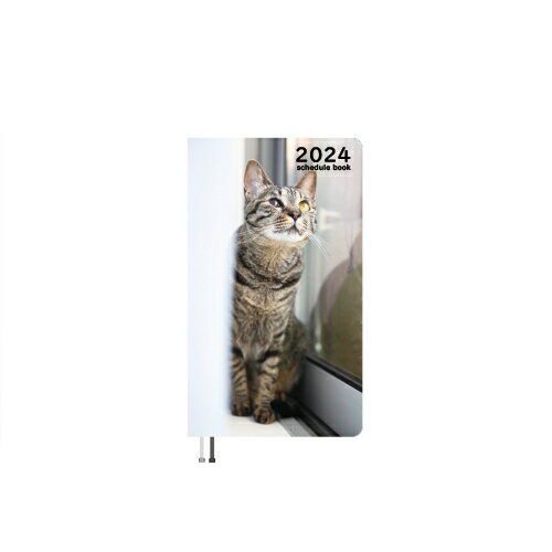 【予約販売】 猫のいろはちゃん 2024年 ポケットサイズ スケジュール帳 PO24127