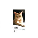 【予約販売】 猫のおこめちゃん 2024年 ポケットサイズ スケジュール帳 PO24128