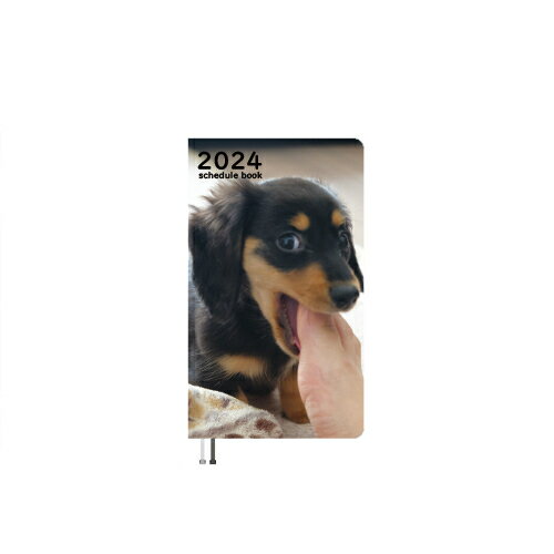 【予約販売】 ミニチュアダックス犬 まんぷくのオケッツ 2024年 ポケットサイズ スケジュール帳 PO24170