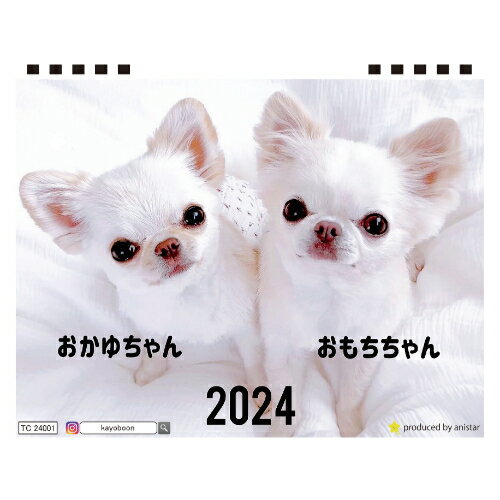 【予約販売】 チワワ犬のおもちちゃん＆おかゆちゃん 2024年 卓上 カレンダー TC24192