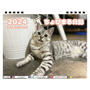 【予約販売】 猫のちょびまる日記 2024年 卓上 カレンダー TC24193