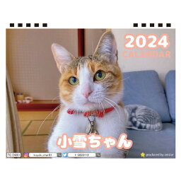 【予約販売】 猫の小雪ちゃん 2024年 卓上 カレンダー TC24200