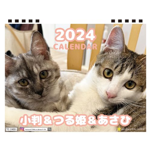 【予約販売】 猫の小判＆つる姫＆あさひ 2024年 卓上 カレンダー TC24211