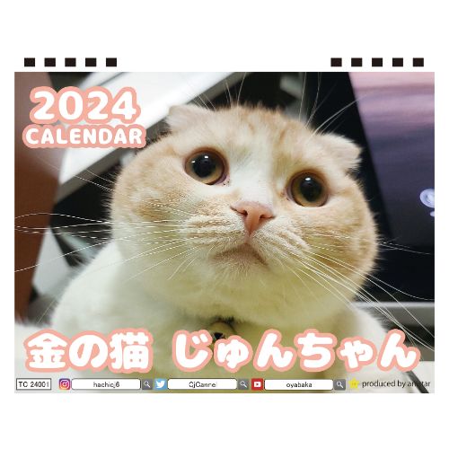  金の猫 じゅんちゃん 犬と猫の親バカ日記 2024年 卓上 カレンダー TC24214
