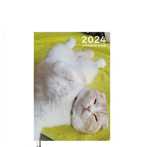  金の猫 じゅんちゃん 犬と猫の親バカ日記 2024年 A5 スケジュール帳 AF24216