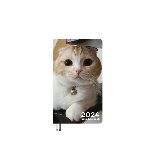  金の猫 じゅんちゃん 犬と猫の親バカ日記 2024年 ポケット スケジュール帳 PO24219