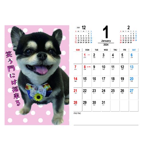 【予約販売】 チワワ犬のここまる三兄弟 202...の紹介画像2