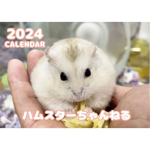 【予約販売】 ハムスターちゃんねる 2024年 壁掛け カレンダー KK24270