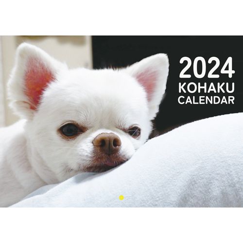 【予約販売】 犬のあくまでチワワチャンネル 2024年 壁掛け カレンダー KK24272