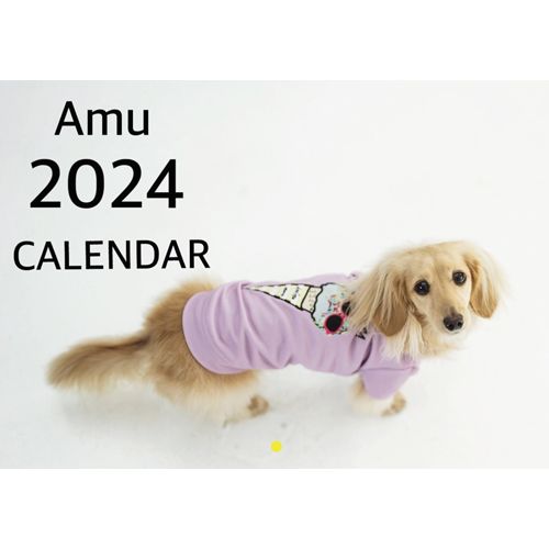 【予約販売】 カニンヘンダックスフンド犬のAmu 2024年 壁掛け カレンダー KK24280