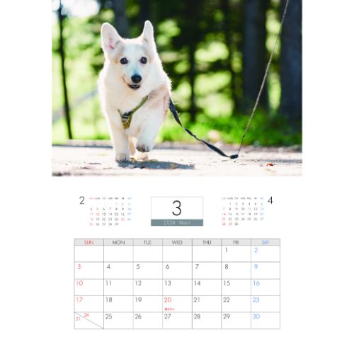 【予約販売】 コーギー犬 ノエル 2024年 ...の紹介画像3